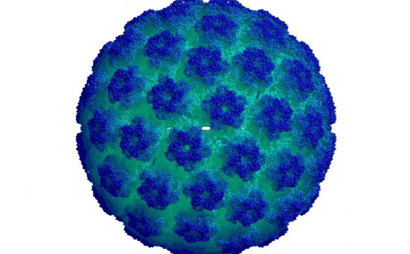 hpv Infezioni virali – Progetto screening Papilloma Virus Umano (HPV)